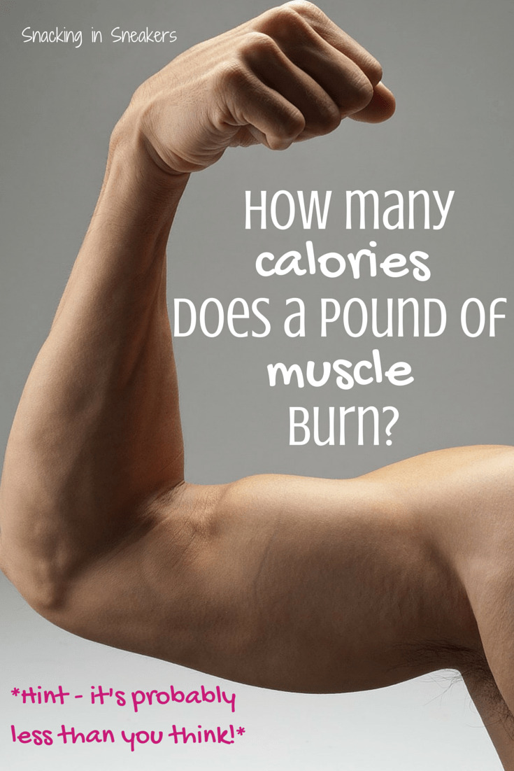 how-many-calories-does-a-pound-of-muscle-burn-less-than-you-think